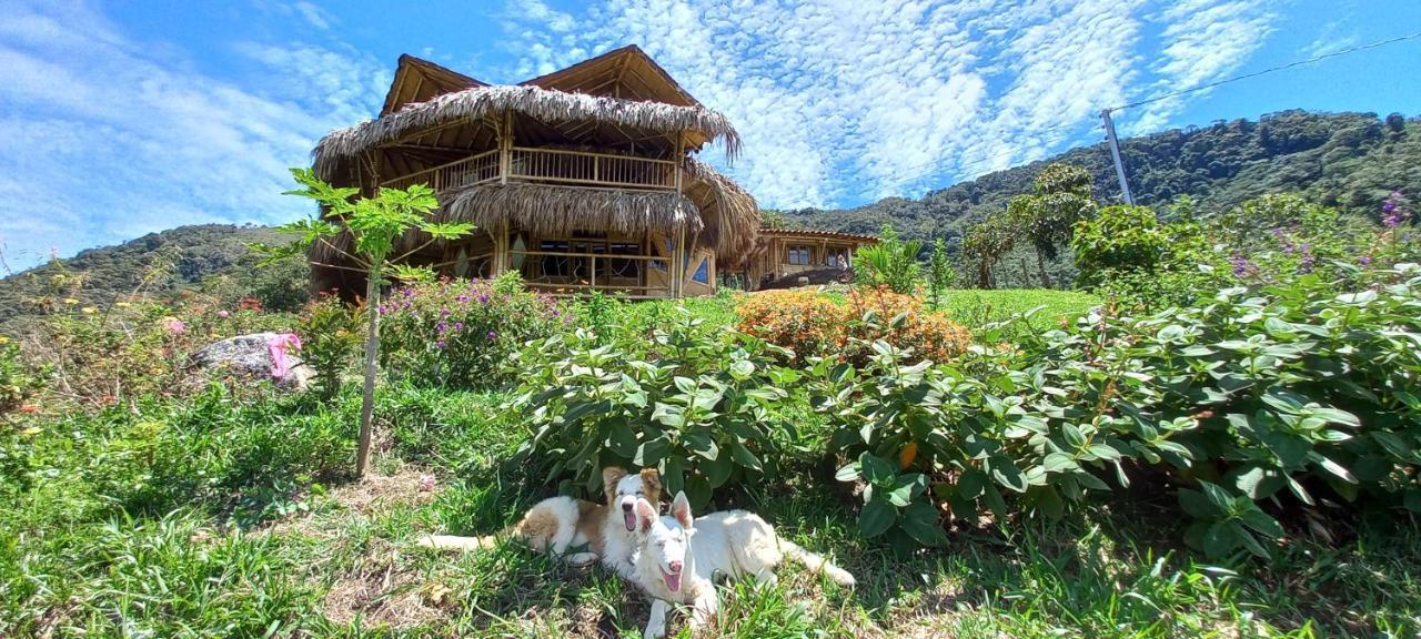 Ecohotel Soplo del Tambo Cocorná Esterno foto