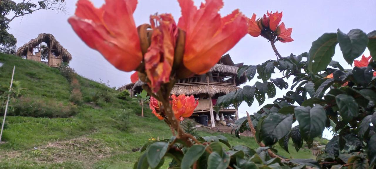 Ecohotel Soplo del Tambo Cocorná Esterno foto